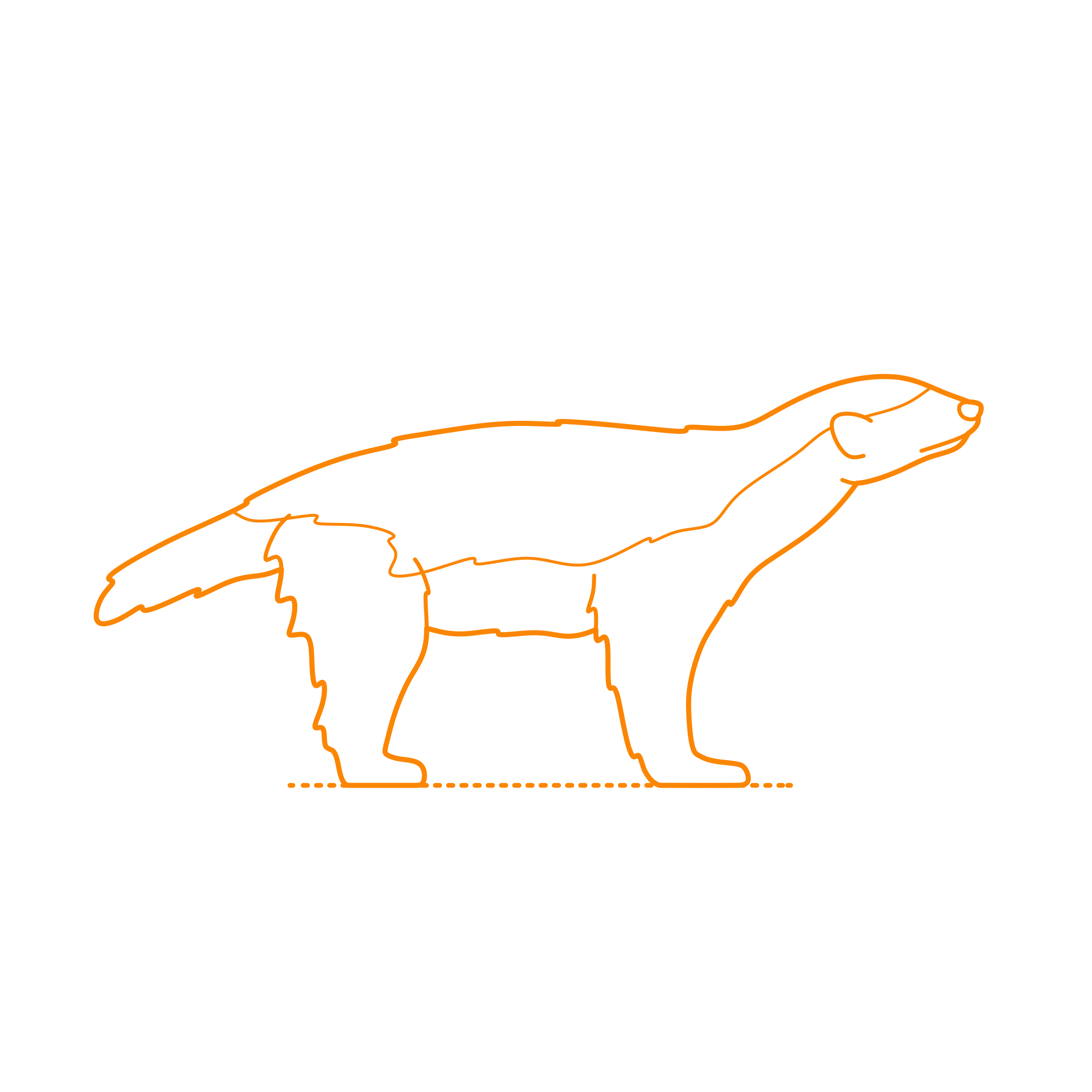 Animals Mustelids Honey Badger Line Art Illustration Svg Free Vectors